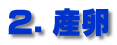 QDY