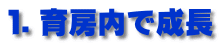 PD[Ő